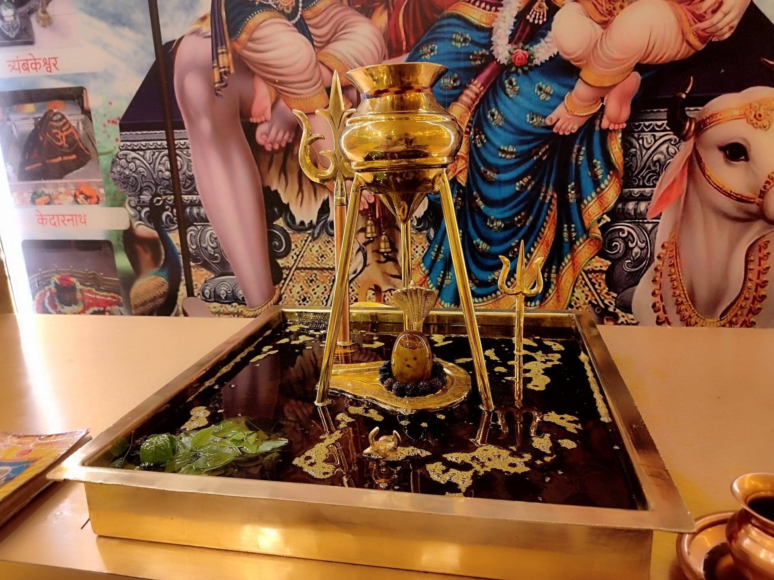 Akhand Maha Rudrabhishek SUkhdev Bhakti Foundation