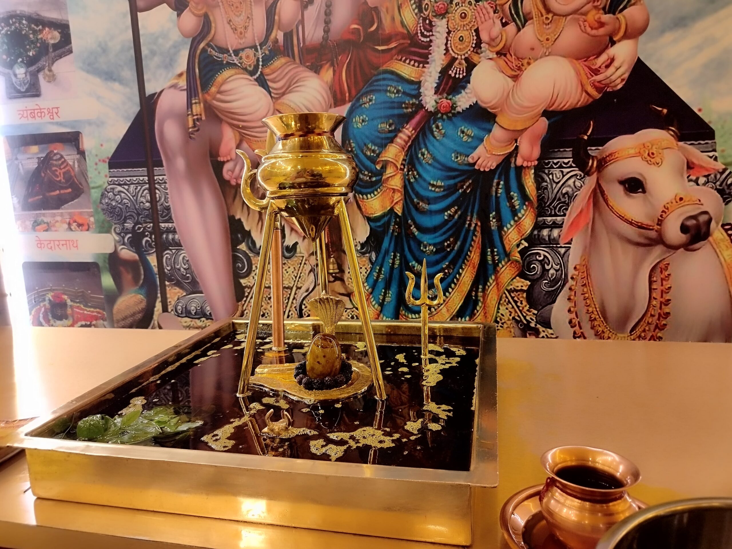 Akhand Maha Rudrabhishek Sarso Ke tel se abhishek