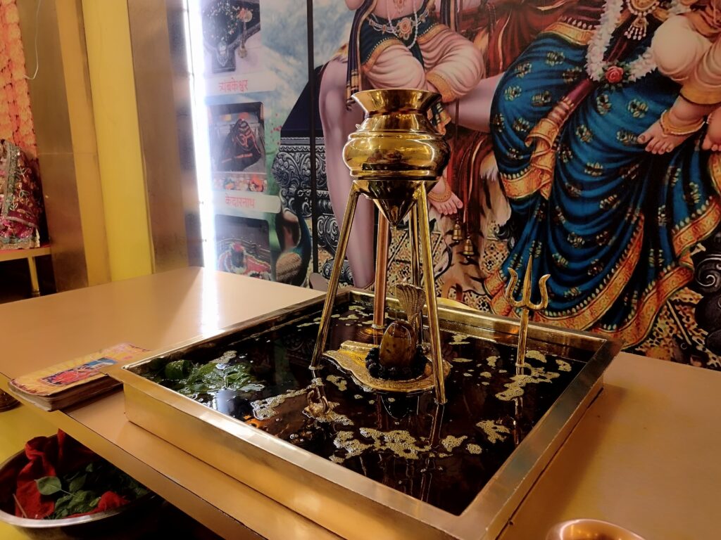महा रुद्राभिषेक | Maha Rudhaabhishek
